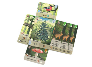 Настольная игра Смешанный лес 7