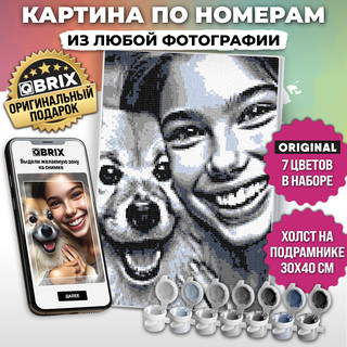 Картина по номерам из любой фотографии QBRIX Original, 30х40 ...