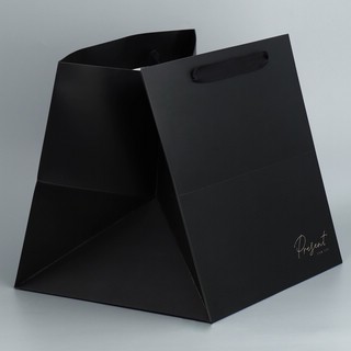 Пакет подарочный квадратный «Present», 30х30х30 см