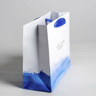 Пакет подарочный ламинированный «Гармонии», 22х17.5х8 см 2