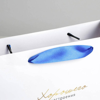 Пакет подарочный ламинированный «Гармонии», 22х17.5х8 см 3