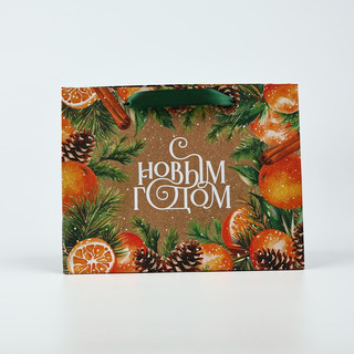 Пакет подарочный крафтовый вертикальный «С Новым годом», мандарины, 18х23х10 см 2