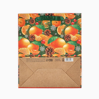 Пакет подарочный крафтовый вертикальный «Мечты сбываются», 23х27х11.5 см 4