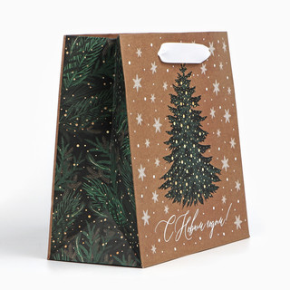 Пакет подарочный крафтовый квадратный «Новогодняя красавица», 22х22х11 см 2