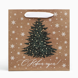 Пакет подарочный крафтовый квадратный «Новогодняя красавица», 22х22х11 см 3