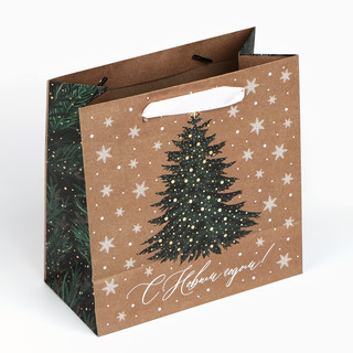 Пакет подарочный крафтовый квадратный «Новогодняя красавица», 22х22х11 см 4