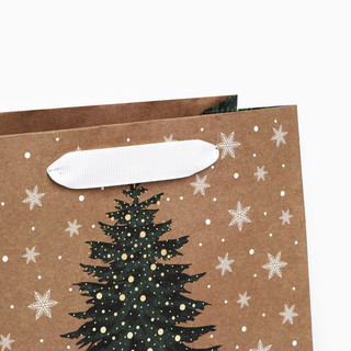 Пакет подарочный крафтовый квадратный «Новогодняя красавица», 22х22х11 см 5