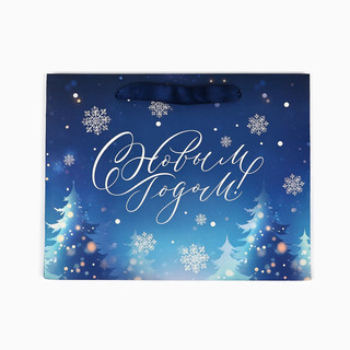 Пакет подарочный ламинированный «С Новым годом», 18х23х10 см 2