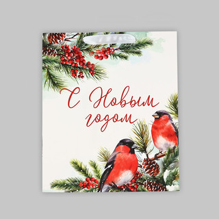 Пакет подарочный ламинированный «Снегири», 23х27х11.5 см 2