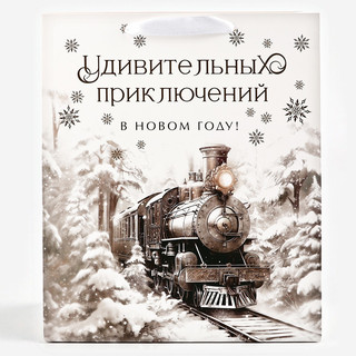 Пакет подарочный ламинированный «Зимний лес», поезд, тиснение, 23х27х11.5 см 2