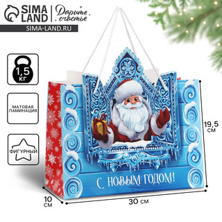 Пакет подарочный новогодний «Дед Мороз», 30х26х10 см 8