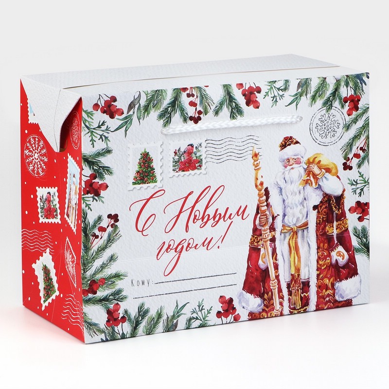 Пакет-коробка «Дедушка Мороз», 23х18х11 см