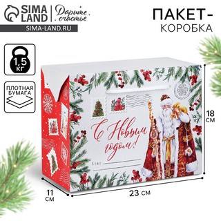 Пакет-коробка «Дедушка Мороз», 23х18х11 см 6
