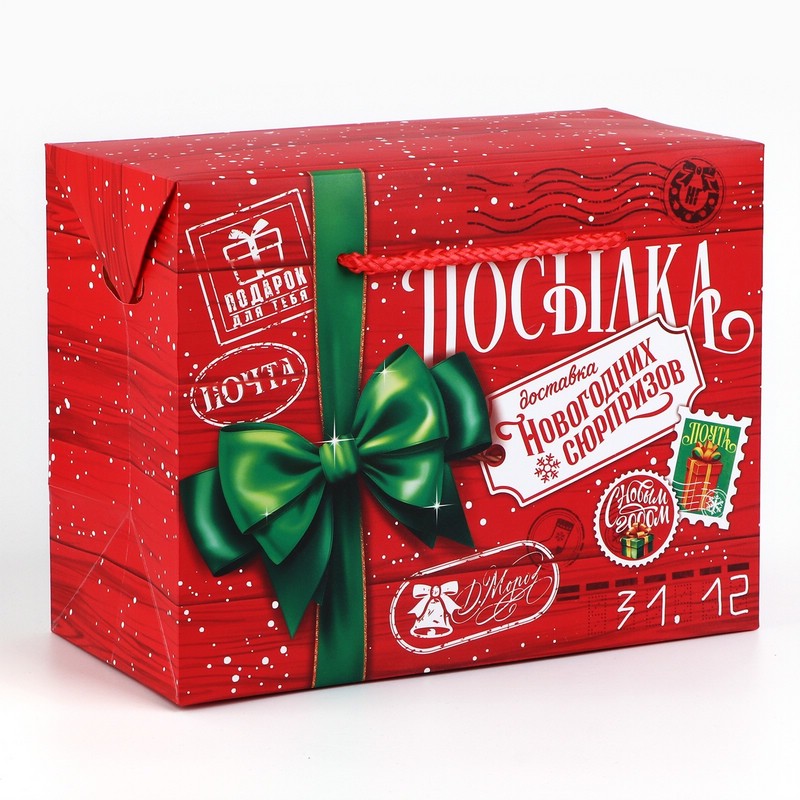 Пакет-коробка «Новогодняя посылка», 23х18х11 см