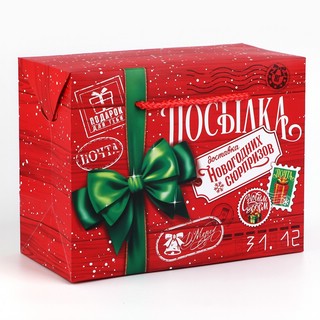 Пакет-коробка «Новогодняя посылка», 23х18х11 см