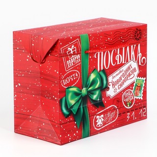 Пакет-коробка «Новогодняя посылка», 23х18х11 см 2