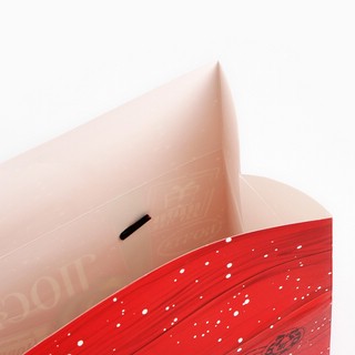 Пакет-коробка «Новогодняя посылка», 23х18х11 см 3