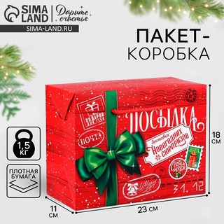 Пакет-коробка «Новогодняя посылка», 23х18х11 см 6