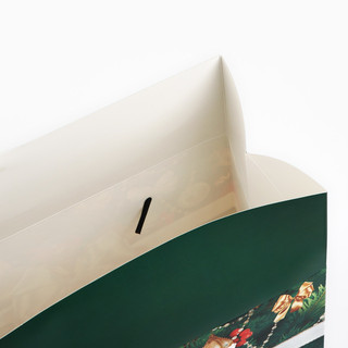 Пакет-коробка «Новогодний подарок», 23х18х11 см 3