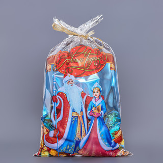 Пакет подарочный 'Снегурочка' 25х40 см, цветной металлизированный рисунок 4