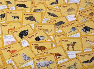 Настольная игра Фауна 8