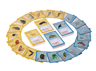 Настольная игра Фауна 5