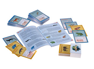 Настольная игра Фауна 6