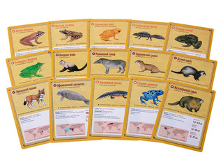 Настольная игра Фауна 7