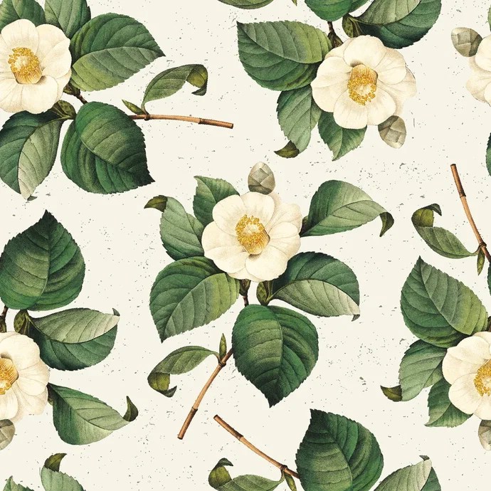 Бумага упаковочная Be Smart Flora, 70х100 см, белый