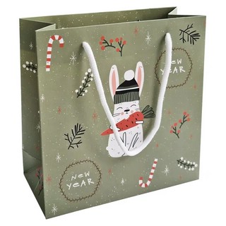 Пакет подарочный Be Smart Rabbit, 20х20 см, зеленый