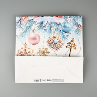 Пакет подарочный ламинированный 'Волшебный праздник', 30х30х12 см 5