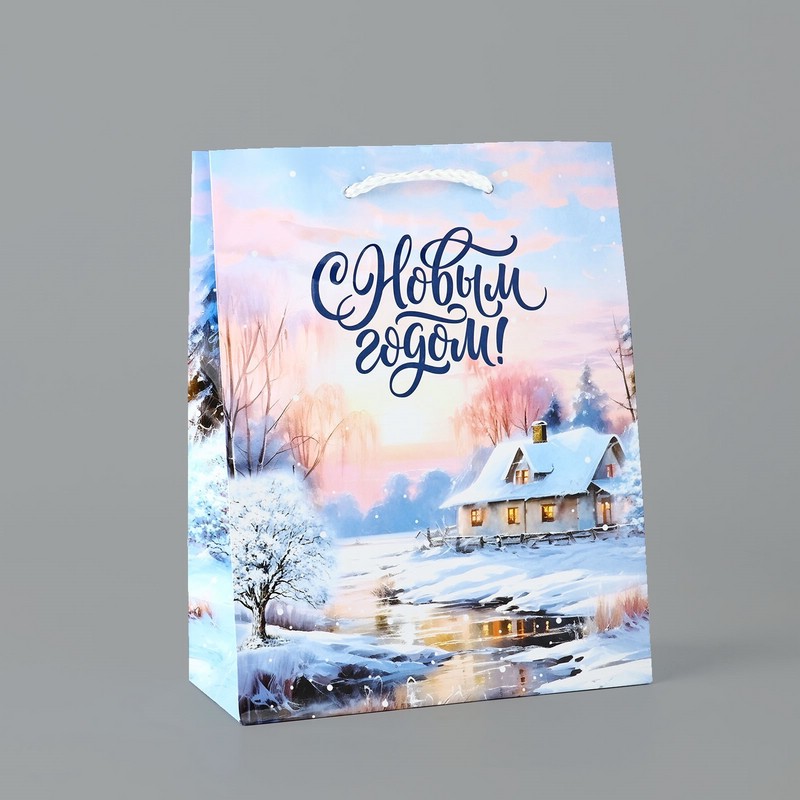 Пакет подарочный ламинированный «Зимняя деревня», 18 х 23 х 8 см