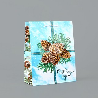 Пакет подарочный ламинированный «С Новым годом» шишки, 18 х 2...