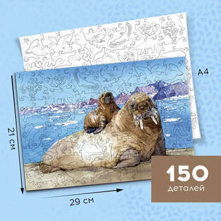 Деревянный пазл 'Атлантический морж', 150 деталей, Treearti 5
