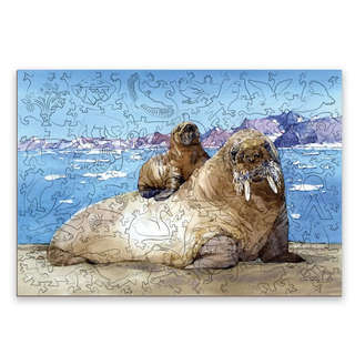 Деревянный пазл 'Атлантический морж', 150 деталей, Treearti 2