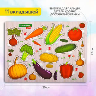 Рамка-вкладыш деревянная 'Овощи', 22х30 см, Brauberg Kids 5