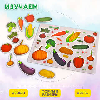 Рамка-вкладыш деревянная 'Овощи', 22х30 см, Brauberg Kids 6