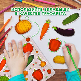 Рамка-вкладыш деревянная 'Овощи', 22х30 см, Brauberg Kids 8