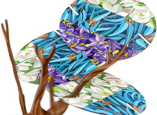 Настольная игра 'Чудо-дерево' (Arbolito), Стиль Жизни 10