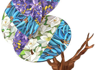 Настольная игра 'Чудо-дерево' (Arbolito), Стиль Жизни 9