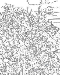 Картина по номерам «Полевые цветы», 40х50 см 2