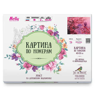 Картина по номерам «Мемчики, Голодный котик», 40х50 см 3