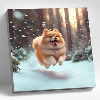 Картина по номерам «Померанский шпиц», 30х30 см 1