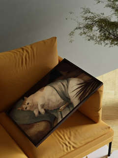 Картина по номерам 'Толстый кот' 40х50 см 3