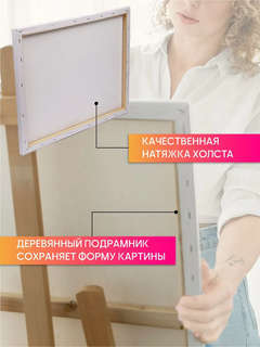 Картина по номерам 'Толстый кот' 40х50 см 5