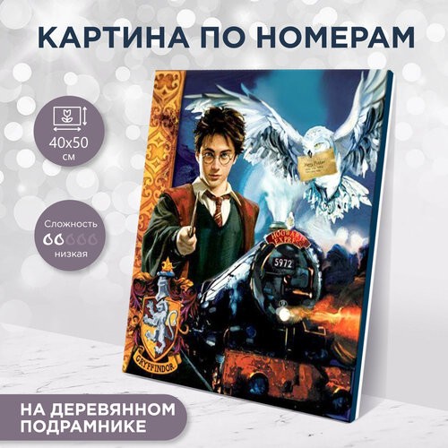 Картина по номерам 'Гарри Поттер' 40x50 см, артикул MH0004