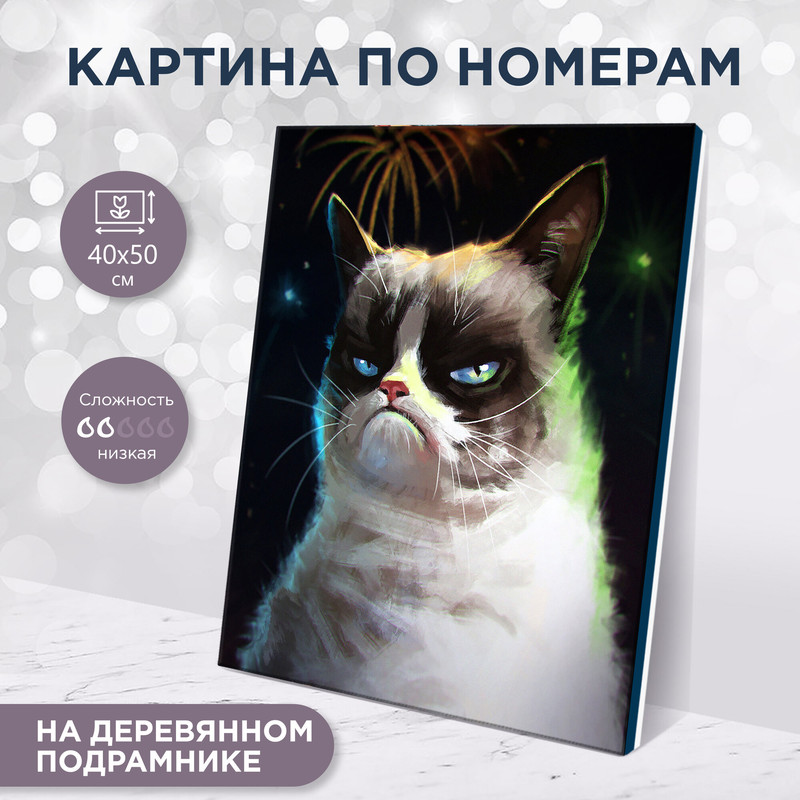 Картина по номерам 'Грампи Кэт' 40x50 см