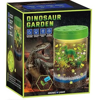 Набор для опытов 'Мини-джунгли' (террариум)