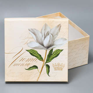 Коробка квадратная 'Шебби' 20х20х11 см 2