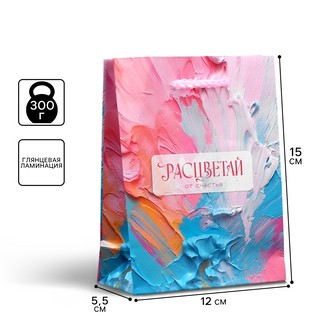 Пакет подарочный ламинированный «Счастье», S 12 х 15 х 5.5 см